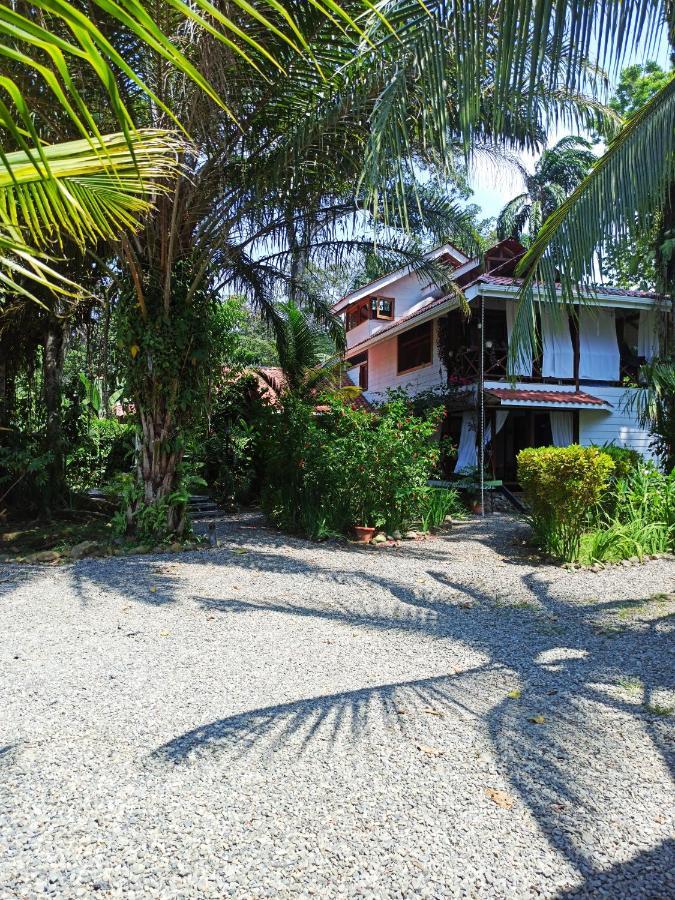 Chilamate Holiday House Puerto Viejo de Talamanca Extérieur photo
