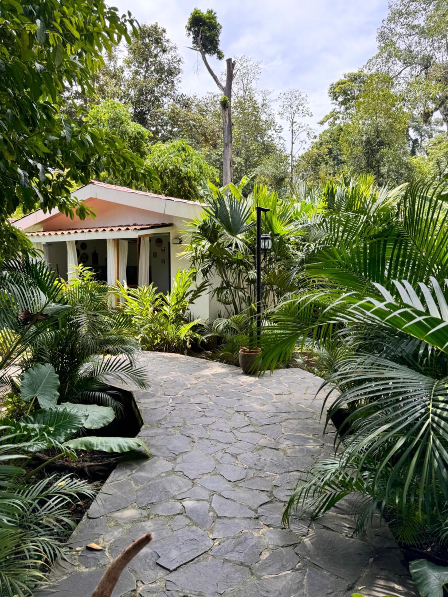 Chilamate Holiday House Puerto Viejo de Talamanca Extérieur photo