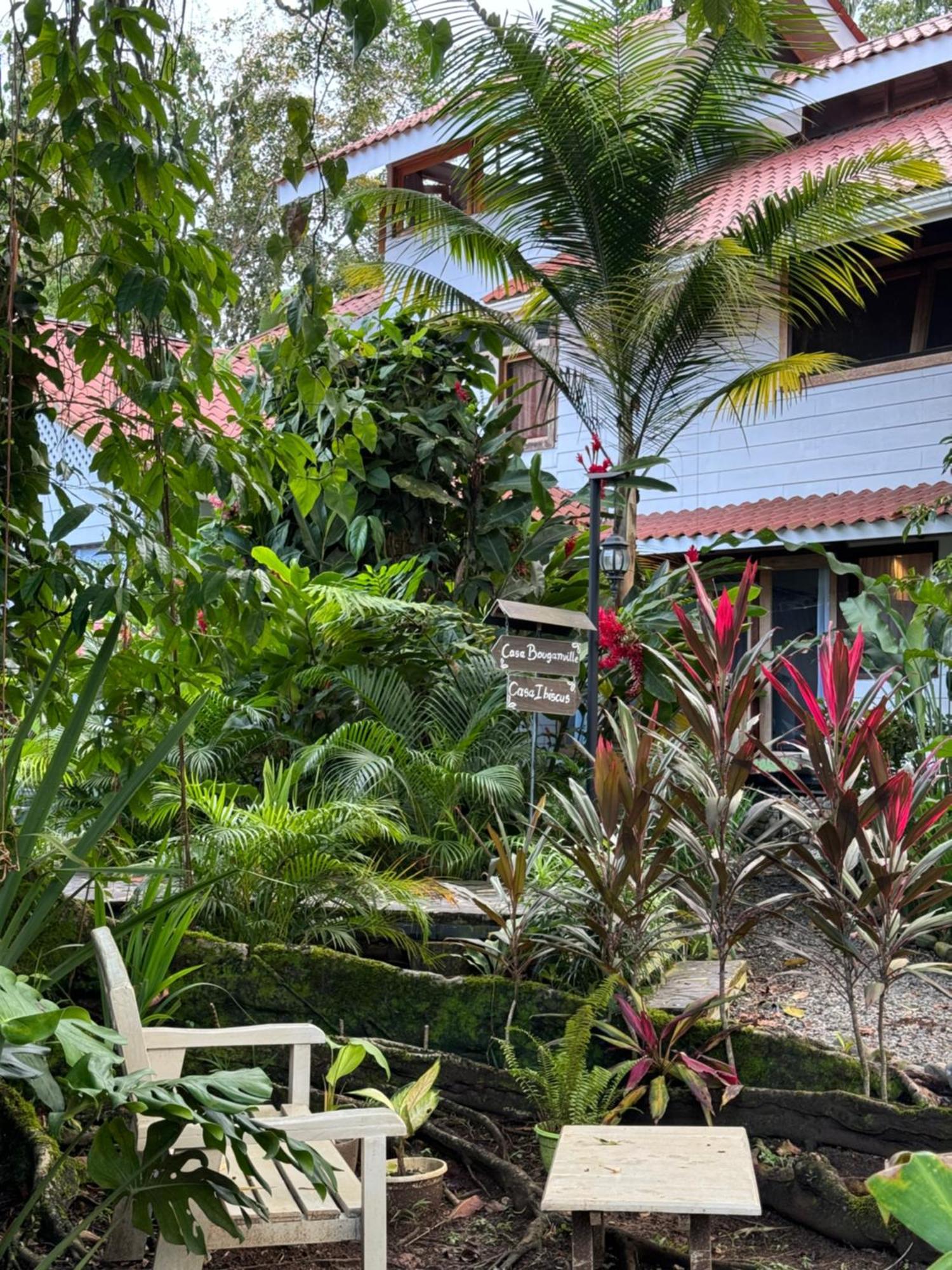 Chilamate Holiday House Puerto Viejo de Talamanca Extérieur photo