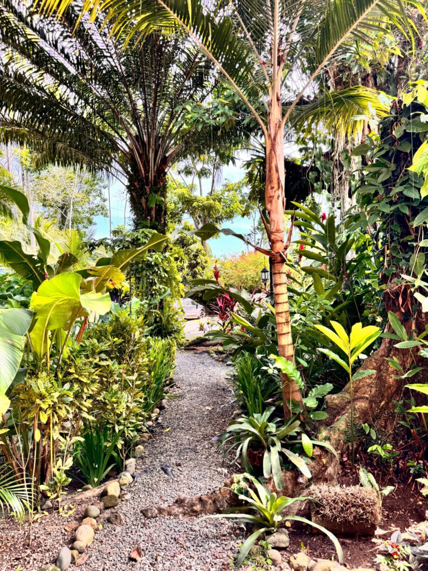Chilamate Holiday House Puerto Viejo de Talamanca Extérieur photo